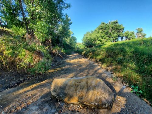 A rocky path beside a dry creek bed, surrounded by green grass and trees under a clear blue sky.