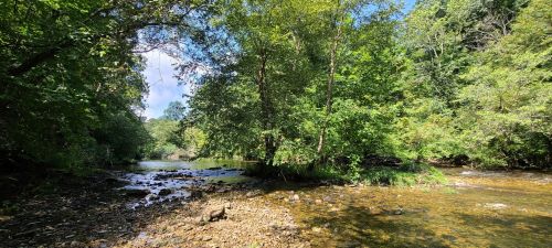 A serene river scene surrounded by lush green trees and rocky banks under a clear blue sky.
