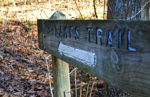 Wooden sign for "Likes Trail" with an arrow pointing in the direction of the trail, surrounded by forest floor leaves.