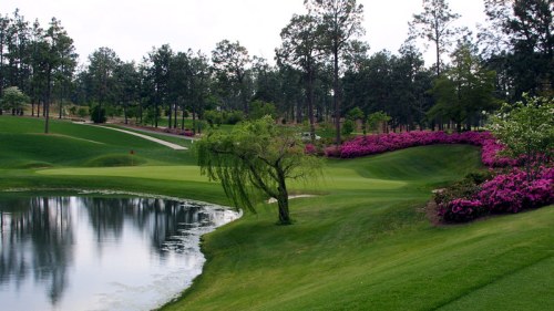 A serene golf course with lush green grass, a pond, and vibrant pink flowers along the landscape, surrounded by trees.