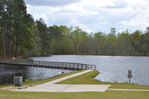 A serene lake surrounded by trees, with a wooden pier extending into the water and a paved path leading to it.