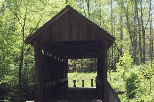A wooden covered bridge surrounded by lush green trees and foliage, leading to an open grassy area.