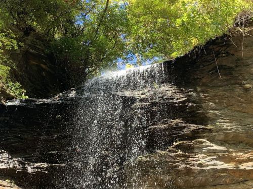A waterfall cascades over a rocky ledge, surrounded by lush green foliage and sunlight filtering through the trees.