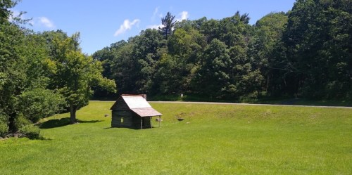 A small wooden cabin sits in a lush green field, surrounded by trees under a clear blue sky.