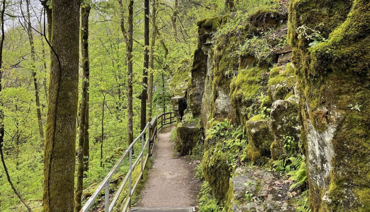Hike Beautiful Cedar Sink Trail In Kentucky