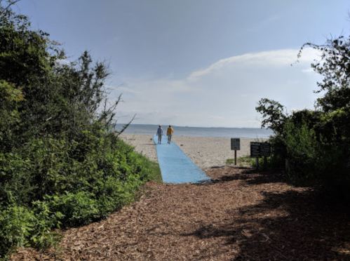 Two people walk along a blue path leading to a sandy beach, surrounded by greenery under a clear sky.