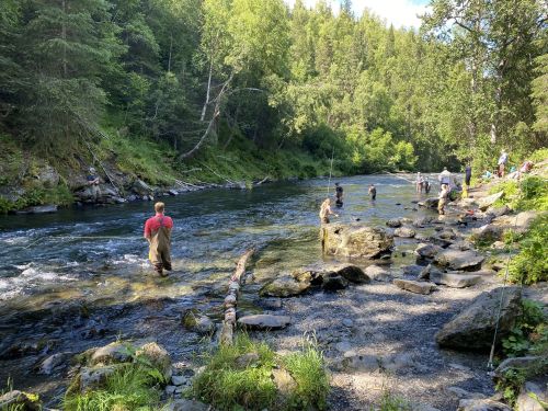 People fishing and wading in a river surrounded by lush greenery and rocky banks on a sunny day.