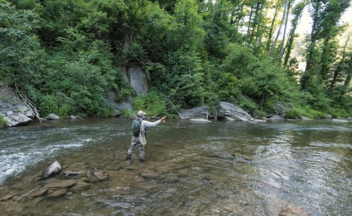 A person fly fishing in a serene river surrounded by lush green trees and rocky banks.