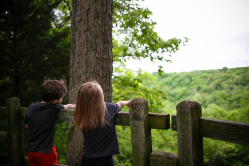 Two children stand by a wooden fence, gazing at a lush green landscape in a serene outdoor setting.