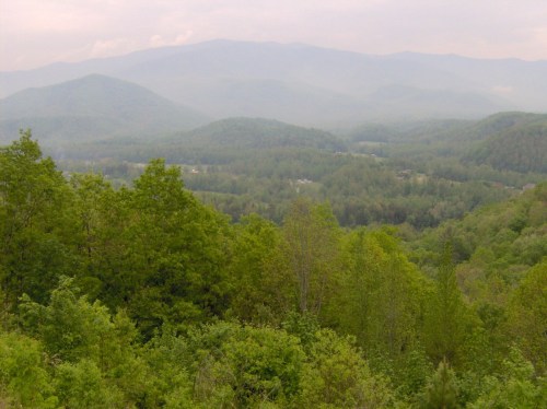 A lush green valley surrounded by misty mountains under a cloudy sky.