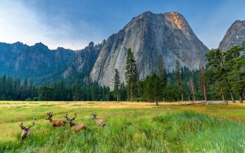 A serene landscape featuring deer grazing in a grassy meadow, surrounded by towering mountains and lush trees.