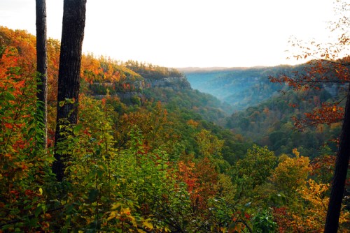 A scenic view of a valley surrounded by colorful autumn foliage and misty hills in the background.