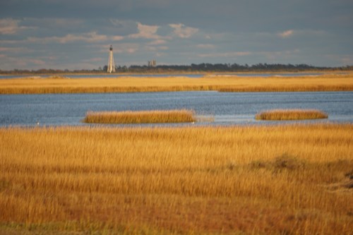 A scenic view of golden marshlands with a distant lighthouse under a cloudy sky.
