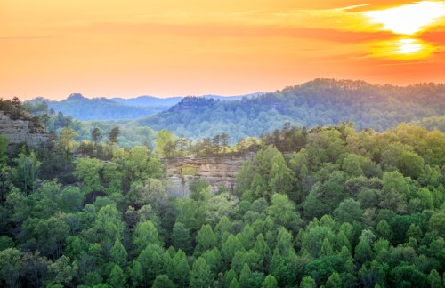 A vibrant sunset over lush green hills and trees, creating a serene landscape in soft pastel colors.