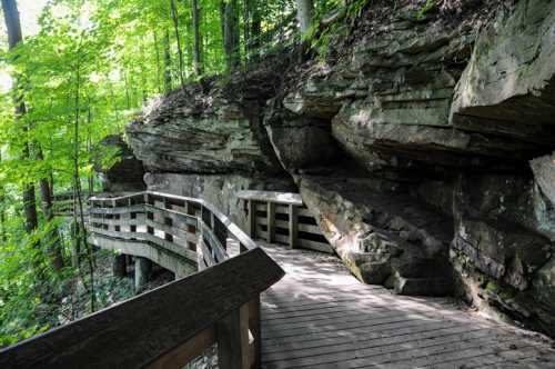 A wooden walkway winds through a lush green forest, flanked by large rock formations and trees.