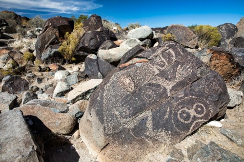 Petroglyphs carved into large boulders, surrounded by rocky terrain and sparse vegetation under a clear blue sky.