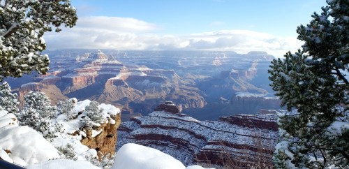 Snow-covered Grand Canyon landscape under a clear blue sky, showcasing layered rock formations and distant cliffs.