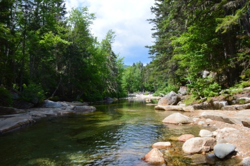 A serene river flows through a lush green forest, with smooth rocks lining the water's edge under a partly cloudy sky.