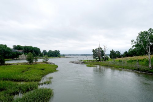 A serene river winding through lush green grass and trees under a cloudy sky.