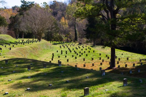 A serene cemetery with rows of gravestones set in a grassy landscape, surrounded by trees and autumn foliage.