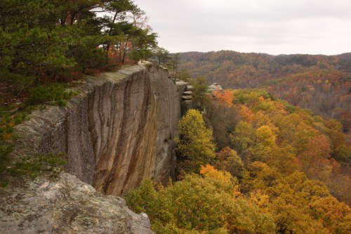 A rocky cliff overlooks a vibrant forest of autumn-colored trees under a cloudy sky.