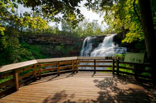 A wooden viewing platform overlooks a cascading waterfall surrounded by lush green trees in a serene natural setting.