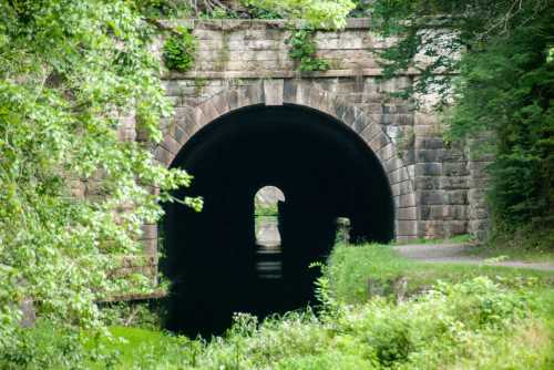 A stone archway tunnel surrounded by greenery, leading to a dark passage with water reflecting light.