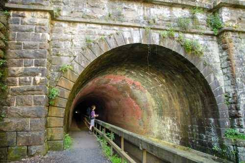 A person stands near a stone archway of a tunnel, surrounded by greenery and weathered brick walls.