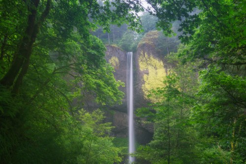 A serene waterfall cascades down rocky cliffs, surrounded by lush green trees and foliage.