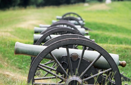 A row of historical cannons on grassy terrain, showcasing their wheels and barrels against a natural backdrop.