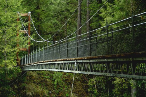 A suspension bridge stretches over a lush, green forest, surrounded by tall trees and rocky terrain.