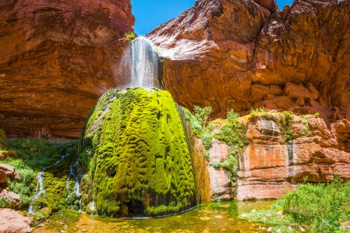 A vibrant waterfall cascades over a moss-covered rock in a red rock canyon, surrounded by lush greenery.