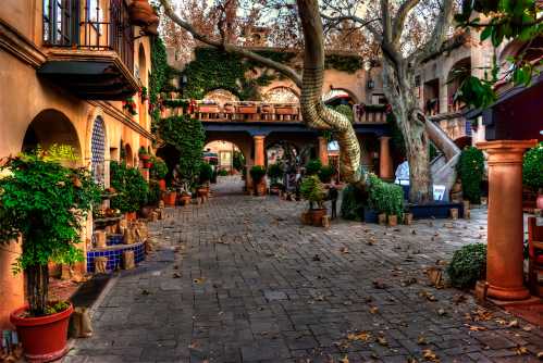 Charming courtyard with potted plants, stone pathways, and a large tree, surrounded by rustic buildings and greenery.