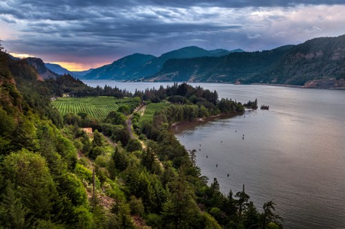 A scenic view of a river surrounded by lush green hills and vineyards under a cloudy sky at sunset.