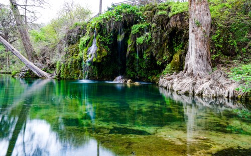 A serene natural scene featuring a small waterfall surrounded by lush greenery and clear, reflective water.