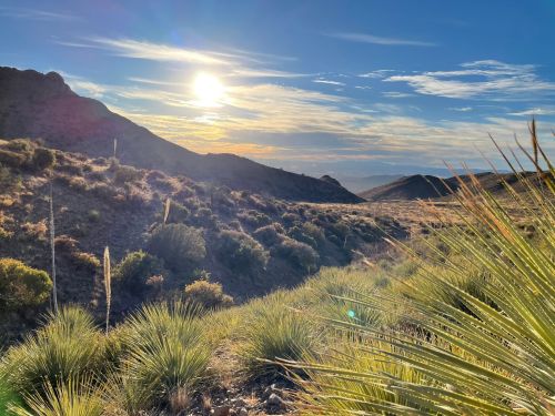 A sunlit desert landscape with rolling hills, sparse vegetation, and a clear blue sky.