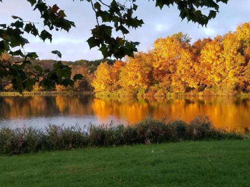 A serene lake surrounded by vibrant autumn trees reflecting in the water under a cloudy sky.