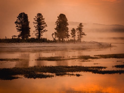 Silhouetted trees on an island reflect in a misty river at sunrise, with soft orange and gray hues in the sky.