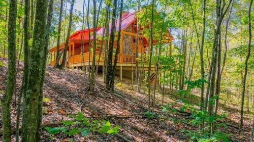A wooden cabin with a red roof nestled among trees in a lush forest. Sunlight filters through the leaves.