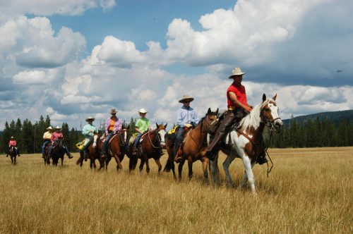 A group of riders on horseback traverses a grassy field under a blue sky with fluffy clouds.