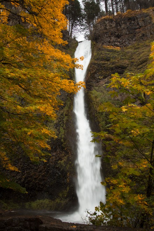 A stunning waterfall cascades down rocky cliffs, surrounded by vibrant autumn foliage in shades of yellow and green.