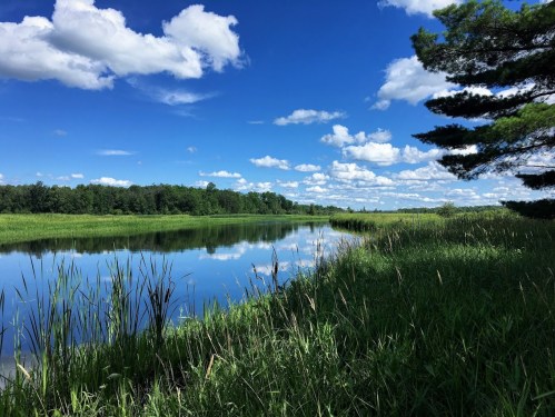 A serene landscape featuring a calm river, lush green grass, and a blue sky dotted with fluffy white clouds.