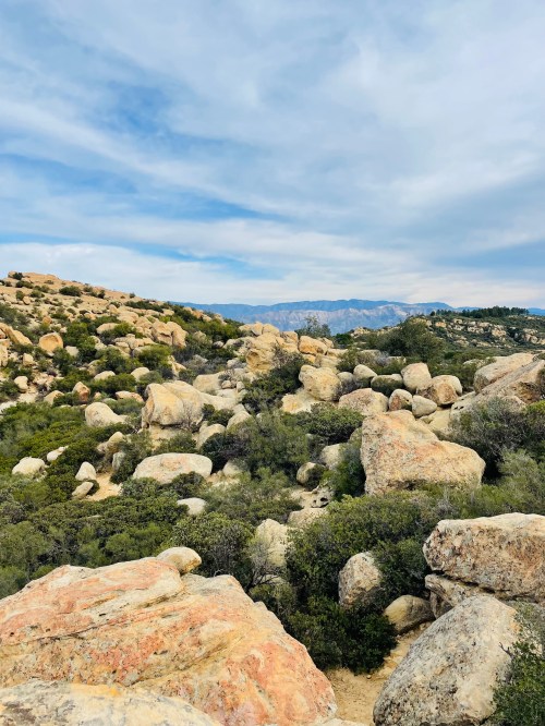 A rocky landscape with large boulders and green shrubs under a cloudy sky, with mountains in the background.