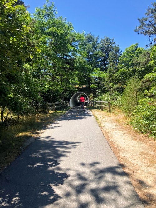 A cyclist rides through a tree-lined path leading to a tunnel on a sunny day.