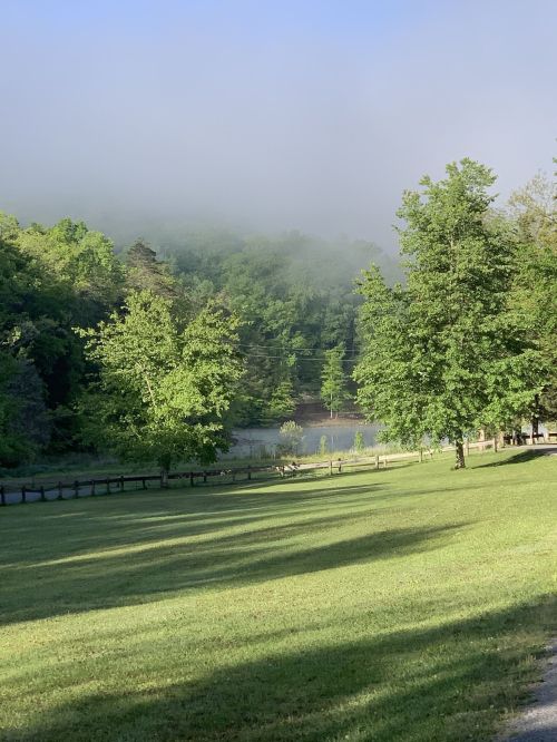 A serene landscape featuring a misty lake surrounded by lush green trees and a grassy area in the foreground.