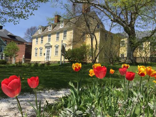 A sunny garden with red and yellow tulips in the foreground, featuring a historic yellow house in the background.