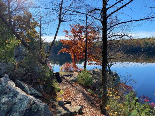 A serene lakeside scene with colorful autumn trees, clear blue skies, and rocky terrain reflecting in the calm water.