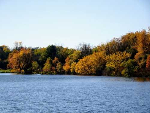 A serene lake surrounded by trees displaying vibrant autumn colors under a clear blue sky.