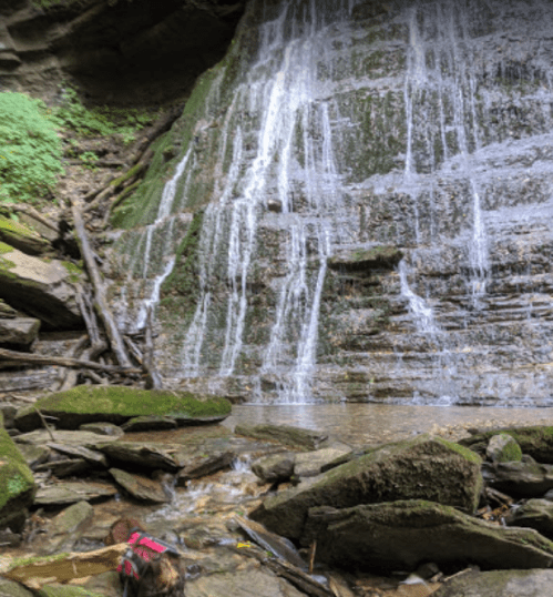 A serene waterfall cascading over rocks into a small pool, surrounded by lush greenery and natural stone formations.