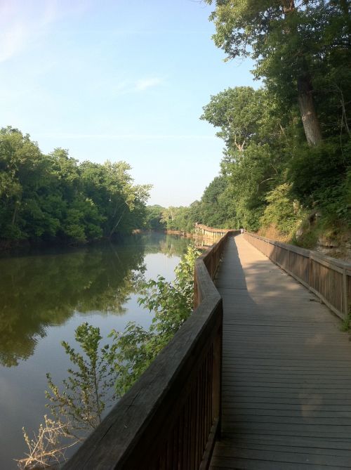 A wooden walkway along a calm river, surrounded by lush green trees under a clear blue sky.